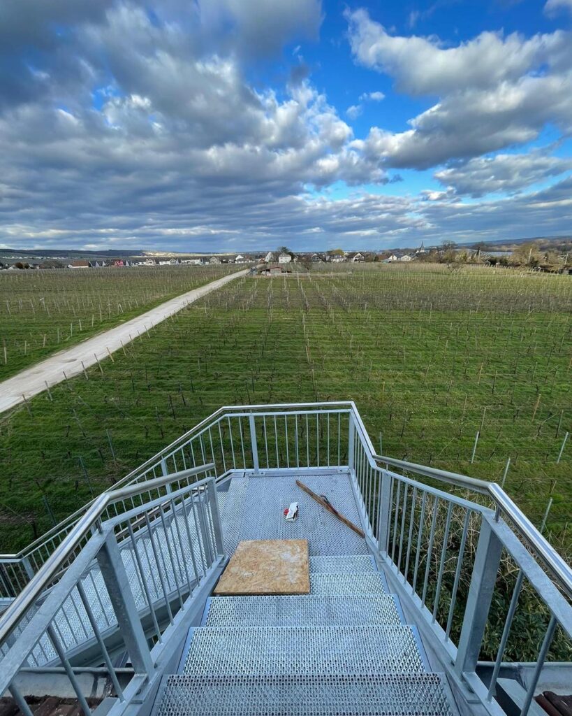 Aussicht vom obersten Podest die Weinberge